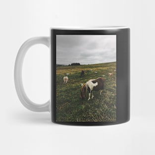 Wild Ponies in England Mug